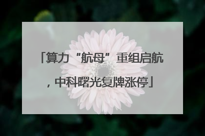 算力“航母”重组启航，中科曙光复牌涨停