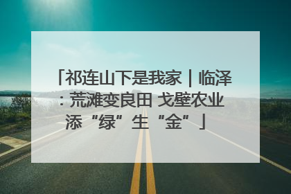 祁连山下是我家｜临泽：荒滩变良田 戈壁农业添“绿”生“金”