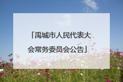 禹城市人民代表大会常务委员会公告