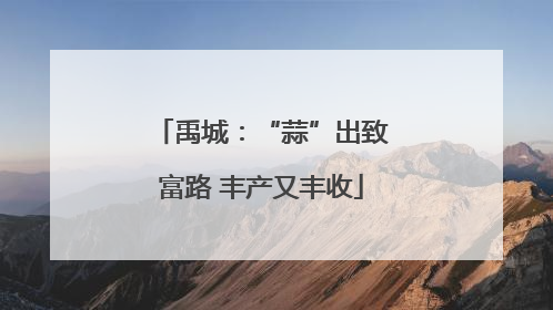 禹城：“蒜”出致富路 丰产又丰收