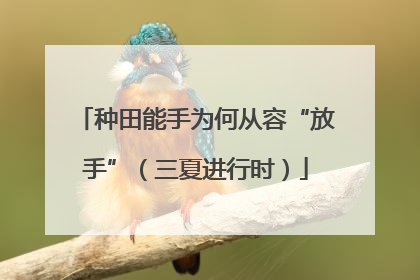 种田能手为何从容“放手”（三夏进行时）