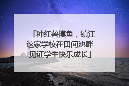 种红薯摸鱼，镇江这家学校在田间池畔见证学生快乐成长