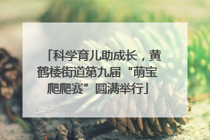 科学育儿助成长，黄鹤楼街道第九届“萌宝爬爬赛”圆满举行