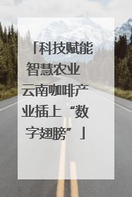 科技赋能智慧农业 云南咖啡产业插上“数字翅膀”