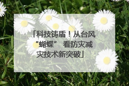 科技铸盾！从台风“蝴蝶” 看防灾减灾技术新突破