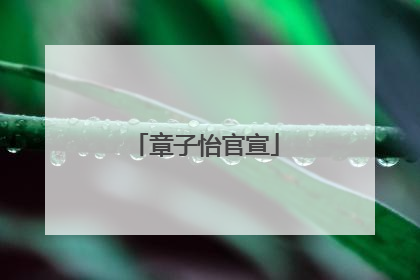 章子怡官宣