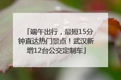端午出行，最短15分钟直达热门景点！武汉新增12台公交定制车