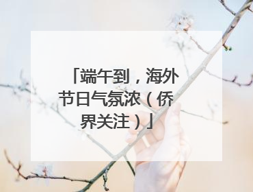 端午到，海外节日气氛浓（侨界关注）