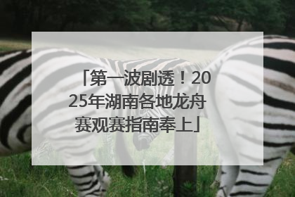 第一波剧透！2025年湖南各地龙舟赛观赛指南奉上