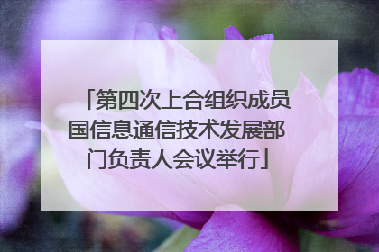 第四次上合组织成员国信息通信技术发展部门负责人会议举行