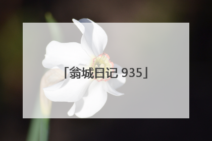 翁城日记 935