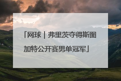 网球｜弗里茨夺得斯图加特公开赛男单冠军