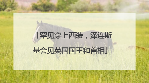 罕见穿上西装，泽连斯基会见英国国王和首相