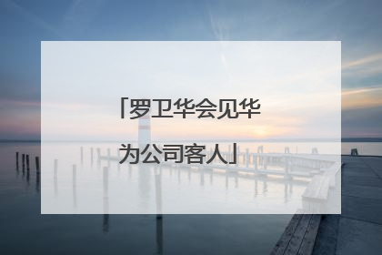 罗卫华会见华为公司客人
