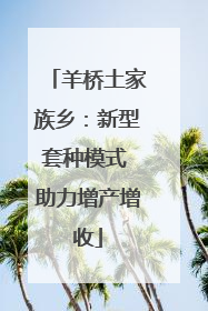 羊桥土家族乡：新型套种模式 助力增产增收