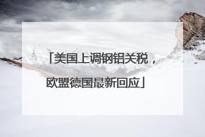 美国上调钢铝关税，欧盟德国最新回应