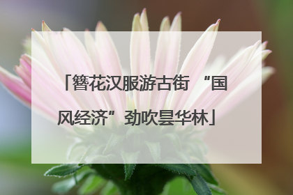 簪花汉服游古街 “国风经济”劲吹昙华林