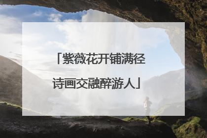 紫薇花开铺满径 诗画交融醉游人