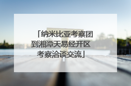 纳米比亚考察团到湘潭天易经开区考察洽谈交流