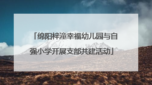 绵阳梓潼幸福幼儿园与自强小学开展支部共建活动