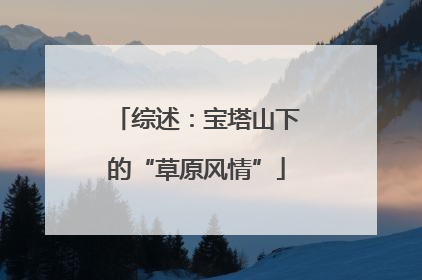 综述：宝塔山下的“草原风情”