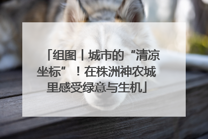 组图丨城市的“清凉坐标”！在株洲神农城里感受绿意与生机
