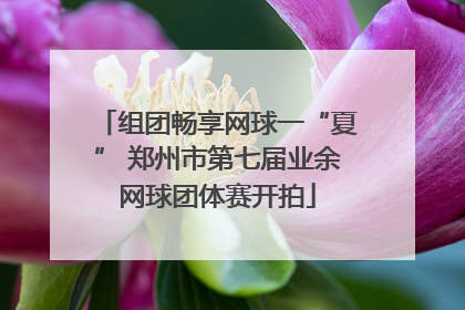 组团畅享网球一“夏” 郑州市第七届业余网球团体赛开拍