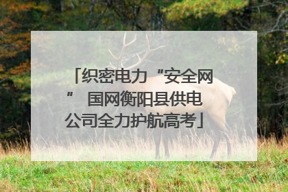 织密电力“安全网” 国网衡阳县供电公司全力护航高考