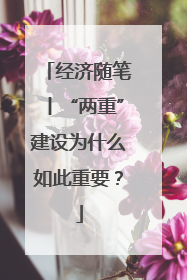 经济随笔丨“两重”建设为什么如此重要？