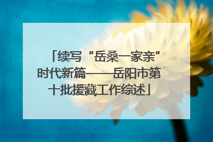 续写“岳桑一家亲”时代新篇——岳阳市第十批援藏工作综述