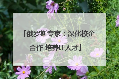 俄罗斯专家：深化校企合作 培养IT人才