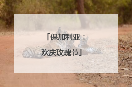 保加利亚：欢庆玫瑰节