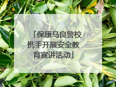 保康马良警校携手开展安全教育宣讲活动