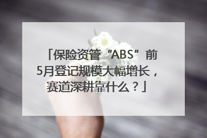 保险资管“ABS”前5月登记规模大幅增长，赛道深耕靠什么？