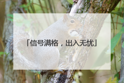 信号满格，出入无忧