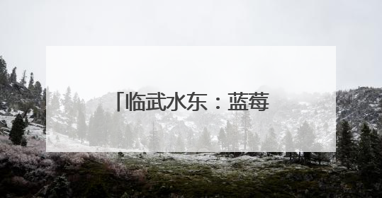 临武水东：蓝莓甜蜜上市 开启“莓”好初夏