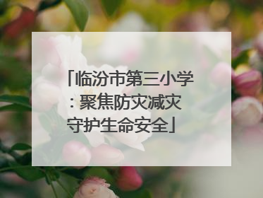 临汾市第三小学：聚焦防灾减灾 守护生命安全