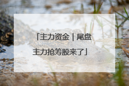 主力资金｜尾盘主力抢筹股来了