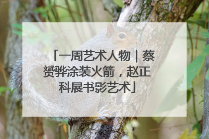 一周艺术人物｜蔡赟骅涂装火箭，赵正科展书影艺术