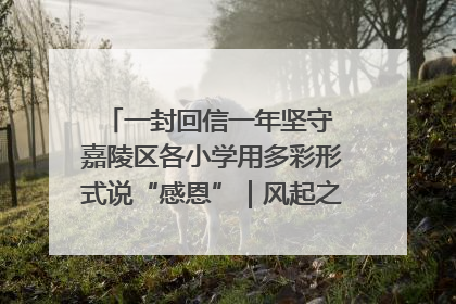 一封回信一年坚守 嘉陵区各小学用多彩形式说“感恩”｜风起之江 扶摇直上