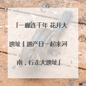一廊连千年 花开大遗址丨遗产日一起来河南，行走大遗址