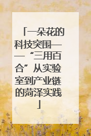 一朵花的科技突围——“三用百合”从实验室到产业链的菏泽实践