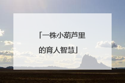 一株小葫芦里的育人智慧