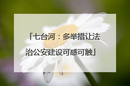 七台河：多举措让法治公安建设可感可触
