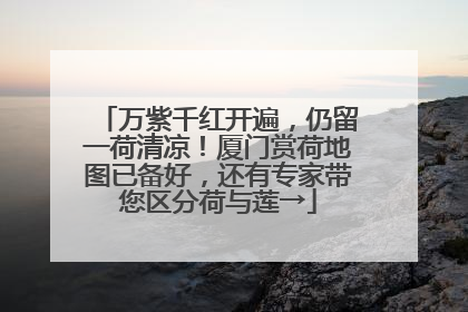 万紫千红开遍，仍留一荷清凉！厦门赏荷地图已备好，还有专家带您区分荷与莲→
