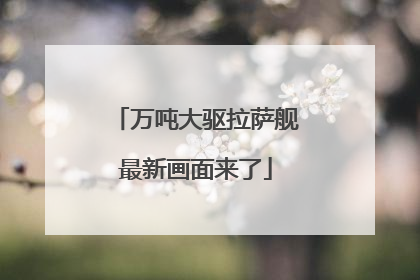 万吨大驱拉萨舰最新画面来了