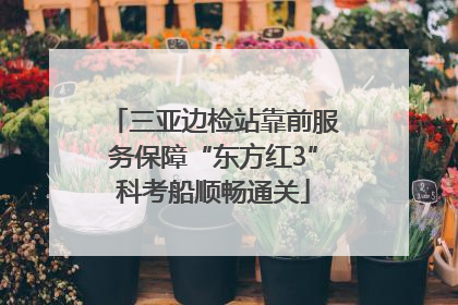 三亚边检站靠前服务保障“东方红3”科考船顺畅通关