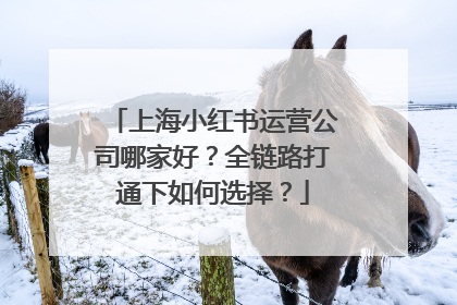 上海小红书运营公司哪家好？全链路打通下如何选择？