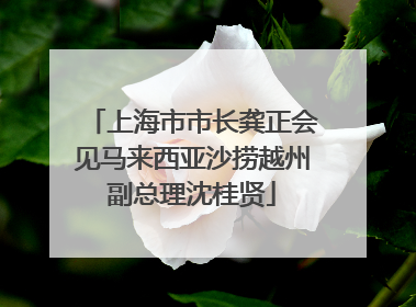上海市市长龚正会见马来西亚沙捞越州副总理沈桂贤