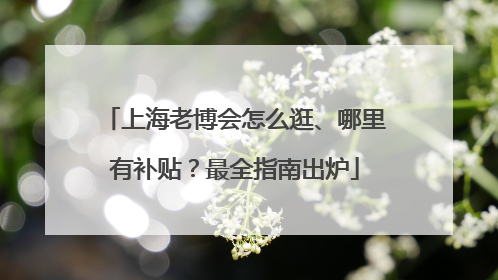 上海老博会怎么逛、哪里有补贴？最全指南出炉
